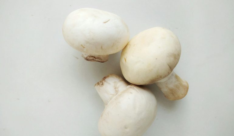 champignon en cuisine