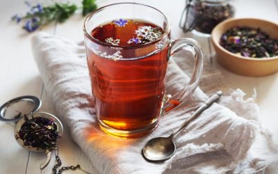 rooibos bio